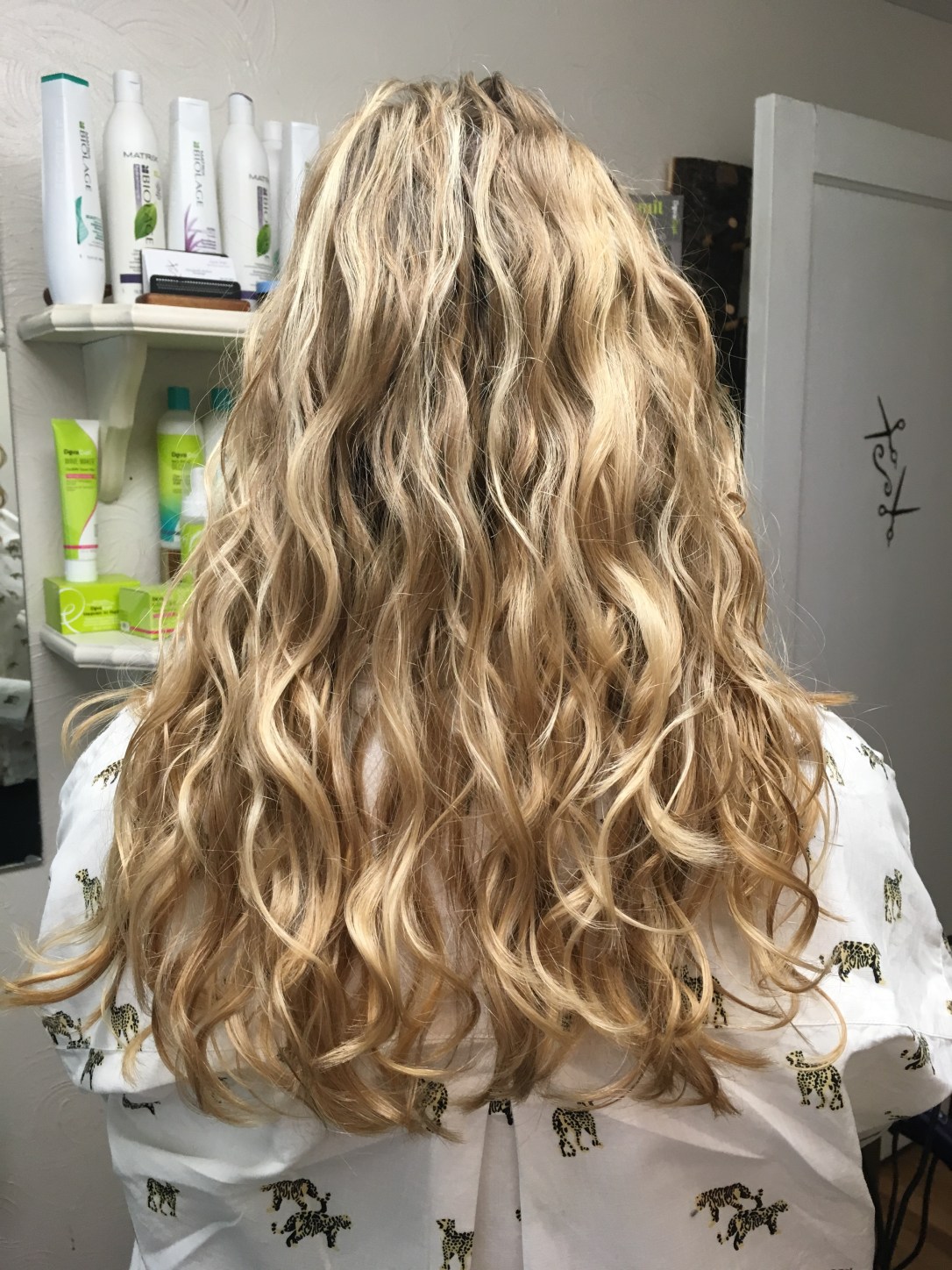 2017 6 1 alison back 2